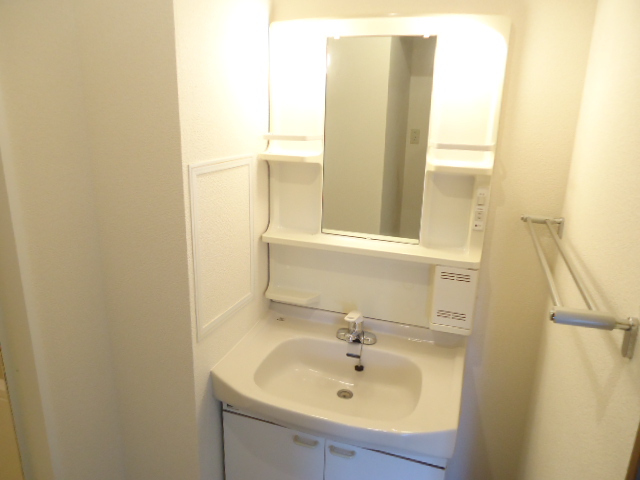 Washroom. Bathroom vanity