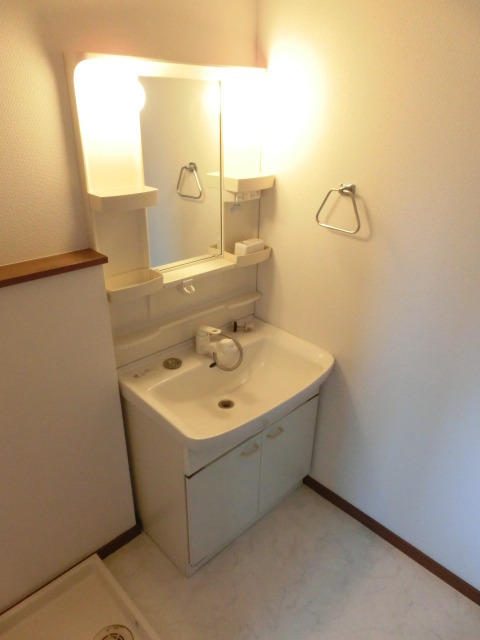 Washroom. Shampoo dresser