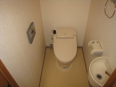 Toilet. Tankless toilet