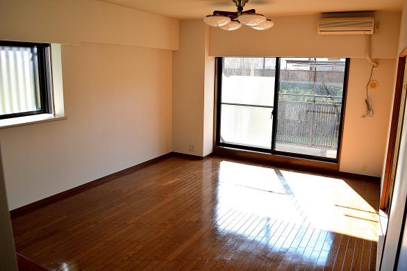 Living. Living room 1