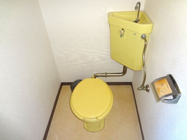 Toilet. Retro toilet