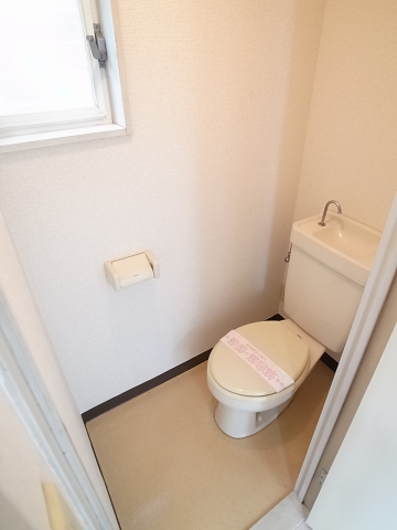 Toilet. Western-style toilet with cleanliness