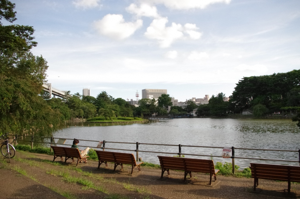 park. 1528m to Chiba Park (park)
