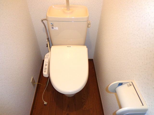 Toilet. Western-style toilet