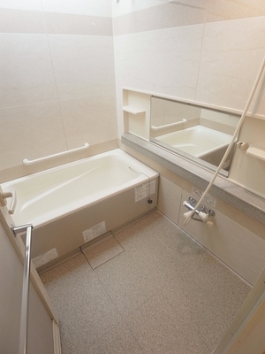 Bath. Bathroom with a wide mirror and handrail.