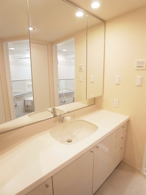 Washroom. A lot of storage space, Three-sided mirror with shampoo dresser