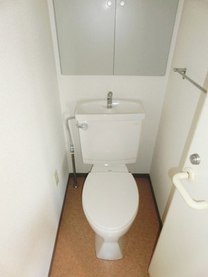 Toilet. I toilets are simple.