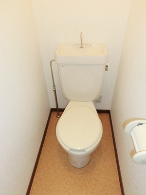 Toilet. I toilets are simple. 