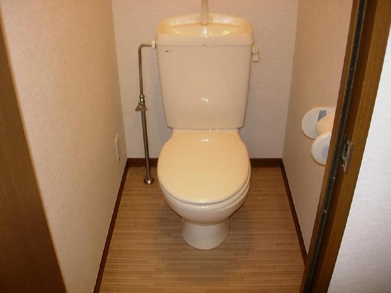 Toilet. Toilet