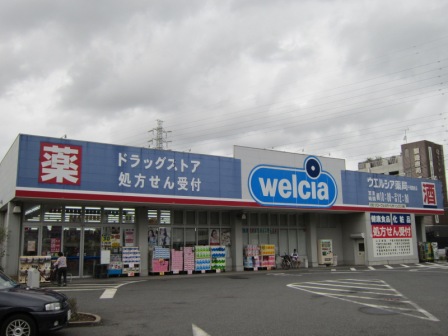 Dorakkusutoa. Uerushia Chiba Ensei shop 853m until (drugstore)