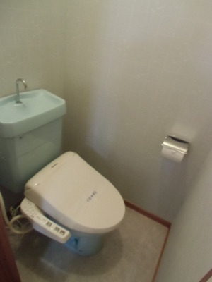 Toilet. Toilet with wash warm toilet seat