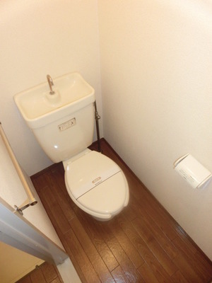 Toilet. Separated toilet