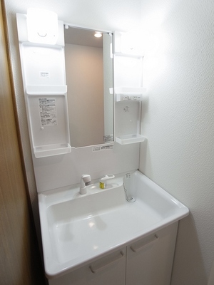 Washroom. Widely basin space, Easy-to-use shampoo dresser. 