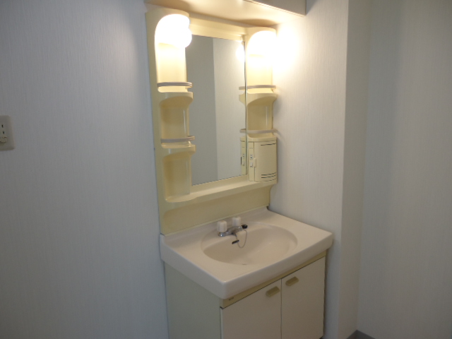 Washroom. Bathroom vanity