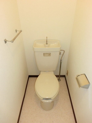 Toilet. Toilet