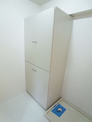 Other. In the dressing room is, There is a washing machine yard and storage shelf. 