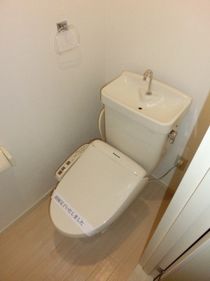 Toilet. Bidet with toilet