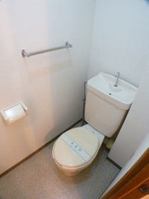 Toilet. It is an important space