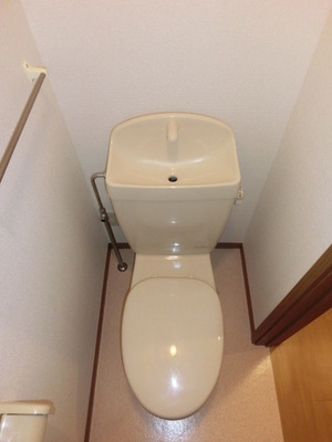 Toilet. Toilet