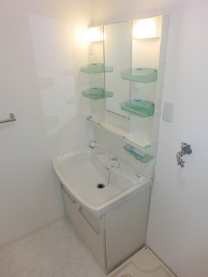 Washroom. Shampoo dresser