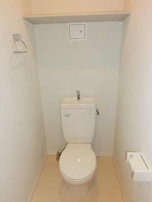 Toilet. Standard toilets