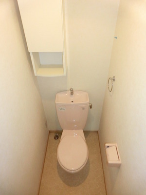 Toilet. Washlet mounting possible