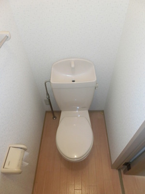 Toilet. Separated toilet