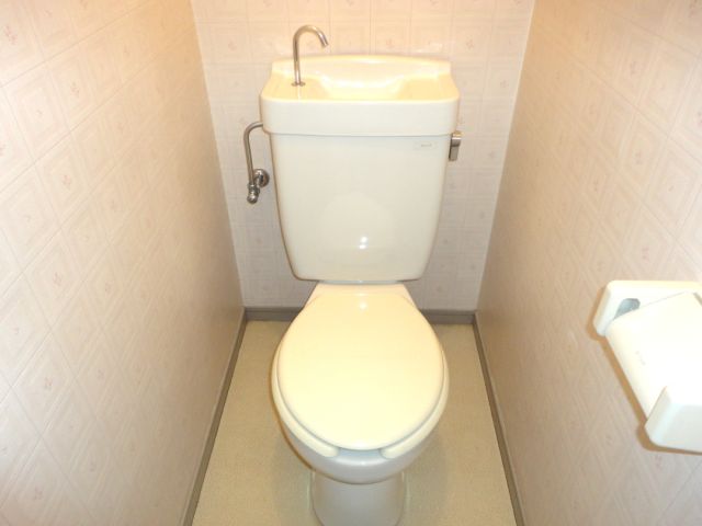 Toilet. Toilet with cleanliness