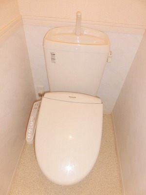 Toilet. Toilet with warm water washing toilet seat