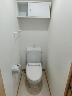 Toilet. Toilet