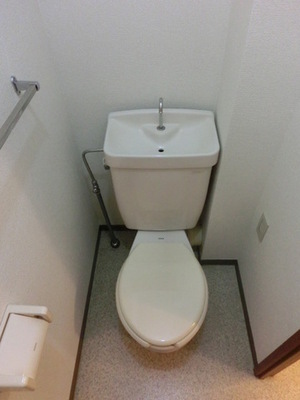 Toilet. Toilet (same type)
