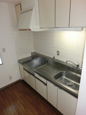 Kitchen. Independent kitchen (the same type)