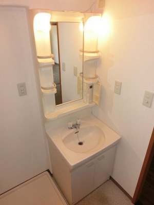 Washroom. Independent wash basin (the same type)