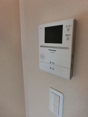 Security. Intercom with TV monitor