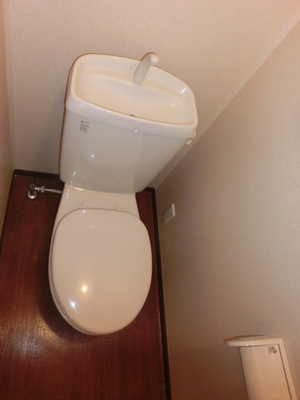 Toilet. Western-style toilet