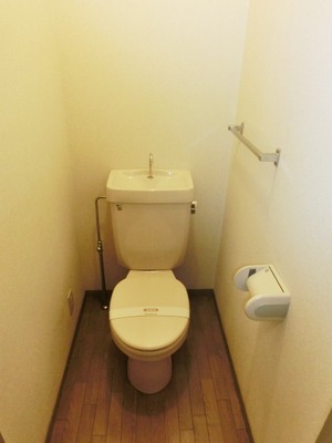 Toilet. Standard toilets