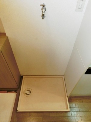 Other. Of course Indoor Laundry Storage