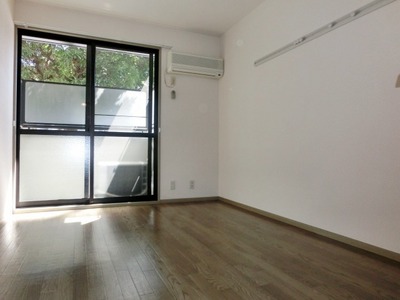 Living and room. Bright room