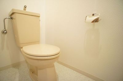 Toilet. Clean feeling overflowing toilet. 