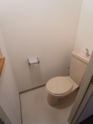 Toilet. There is a shelf to put small items in the toilet.