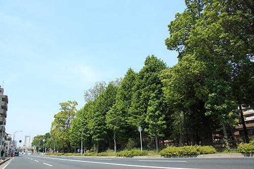 Streets around. Street to be used in the school of high school as Prefectural Chiba Girls High School, Enhancement also public facilities and medical facilities on the beach called "high school as".
