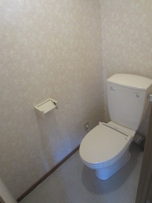 Toilet. With warm toilet seat.