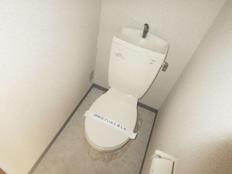 Toilet. Here is also a clean space