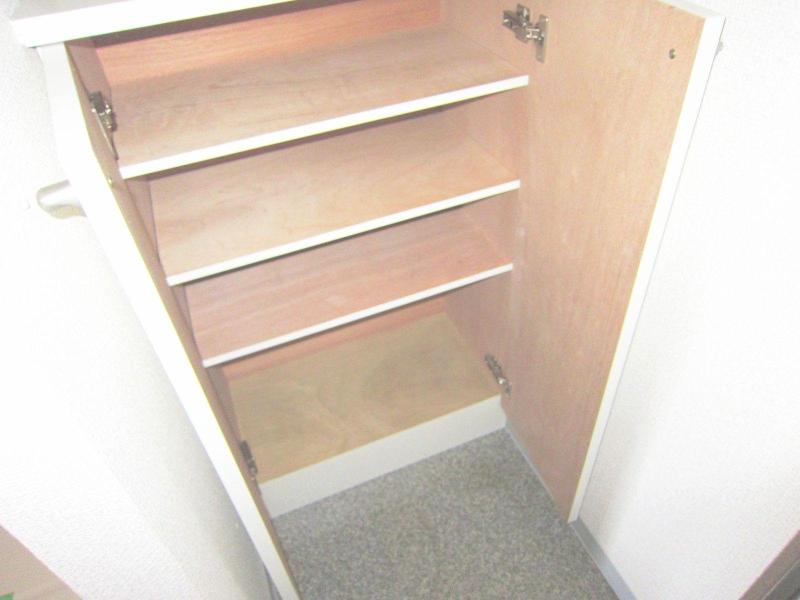 Other room space. Entrance clean, shoe box use