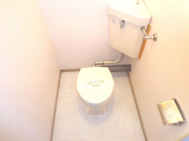 Toilet. Western-style toilet