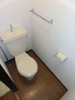 Toilet. Separated toilet