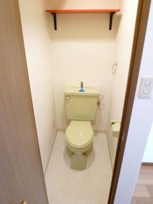 Toilet. There is a storage shelf in toilet, Put a small.