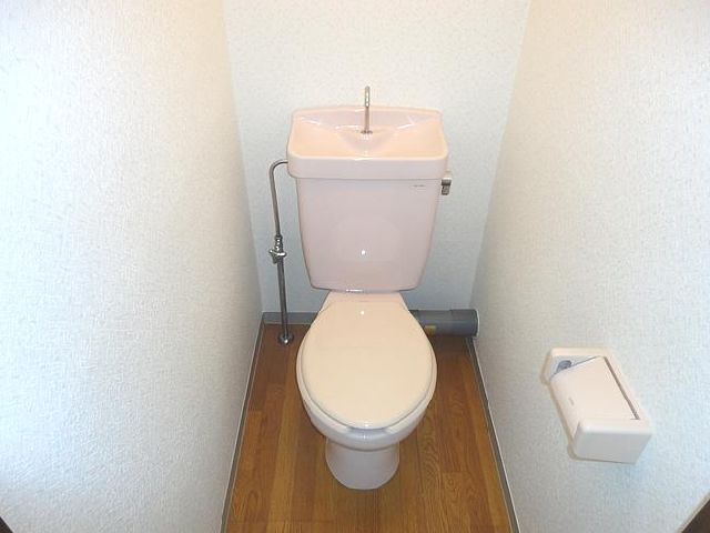 Toilet. It is a Western-style toilet.