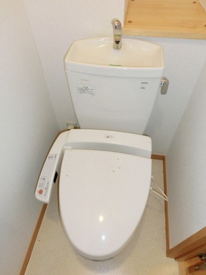 Toilet. With cleaning function.