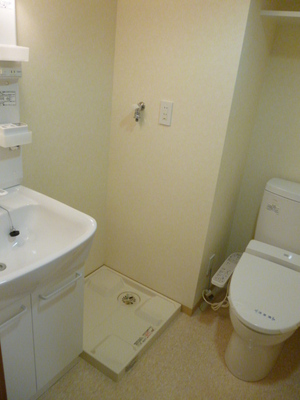 Washroom. Wash basin ・ Laundry Area ・ Toilet has together in one place.